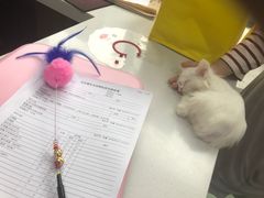 -康乐宝动物医院