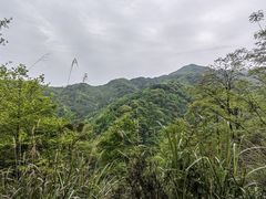 -李冰陵园