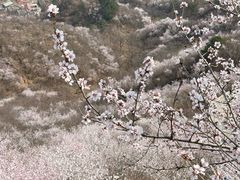 -龙泉峪长城