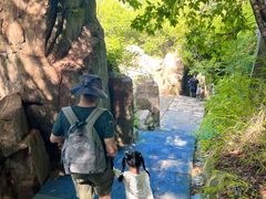 -铁山坪森林公园