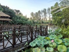 -溱湖国家湿地公园