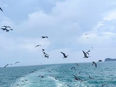 -海驴岛(荣成市)