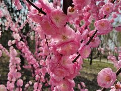 -东郊湿地公园