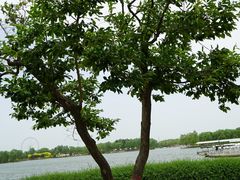 -石家庄市植物园