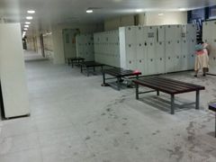 -奥林匹克体育中心游泳馆