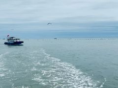 -日照海滨国家森林公园