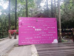 -蝴蝶泉公园