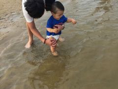 -碧海金沙