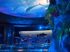 -陕西自然博物馆