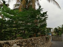 -三亚西岛海洋文化旅游区