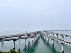 -星海湾跨海大桥