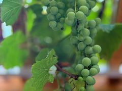 -伊隆斋(什刹海店)