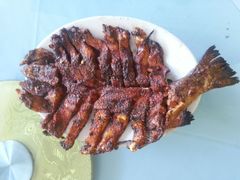 红鳟鱼-劳模山庄