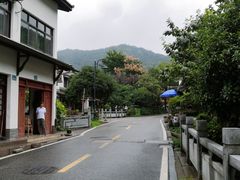 -龙井村