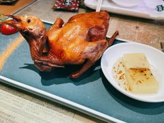 红烧乳鸽-大鸽饭(北京路店)