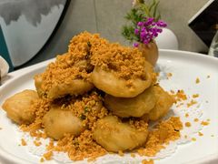 -丁老爷子苏香圆