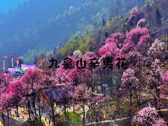 -九皇山景区