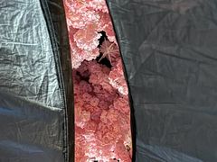 -陆地游轮西山温泉号