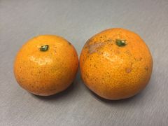 -吉友粥底火锅(方斜路店)