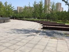 -永定河休闲森林公园