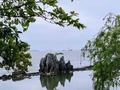 -上海吴淞炮台湾国家湿地公园