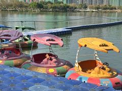-飞来湖湿地公园