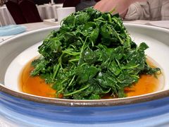 酒香金花菜-老东吴食府(雅都店)