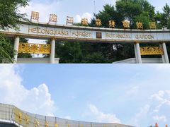 -黑龙江省森林植物园