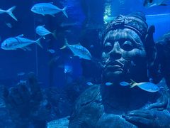 -暹罗海洋世界