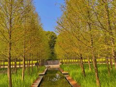 -泰州凤城河风景区-泰山公园