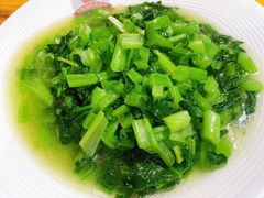 钵钵小苦菜-老滇山寨•云南特色菜•地方菜•民族风情歌舞表演(金碧店)