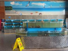 -蓝珊海鲜澳洲和牛自助餐厅