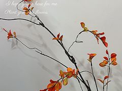 -CBD·中央大街(夷陵大道)
