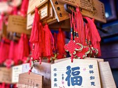 -峨眉山报国寺