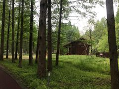 -黄海国家森林公园