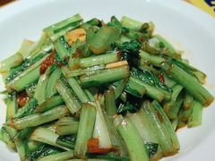 -幸福的烤包子·新疆菜