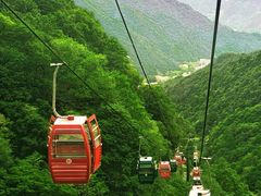 -王顺山国家森林公园