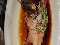 清蒸东星斑-阿明小菜·海鲜·上海菜(梅陇店)