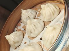 -小杨生煎(黄河路美食休闲街店)