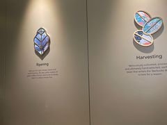 -星巴克臻选(北京蓝色港湾RO店)
