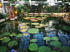 -国家植物园南园