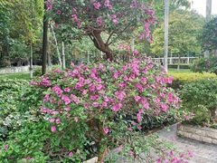 -广东外语外贸大学(白云山校区)