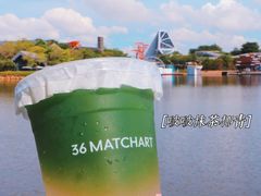 -36抹茶·千层与鲜果茶(欢乐海岸店)