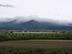 -富田农场