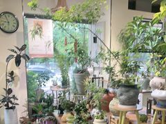 -弗劳尔花艺坊(龙涛店)