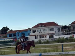 -养马岛旅游度假区