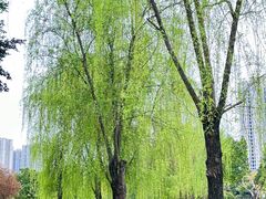 -沐仙湖湿地公园