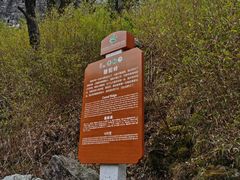 -朱雀国家森林公园