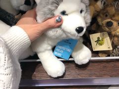 -谢列梅捷沃国际机场