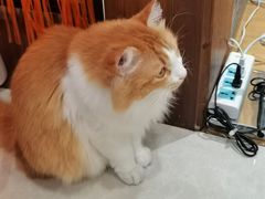 -氷冰凉刨冰甜品(北京路店)